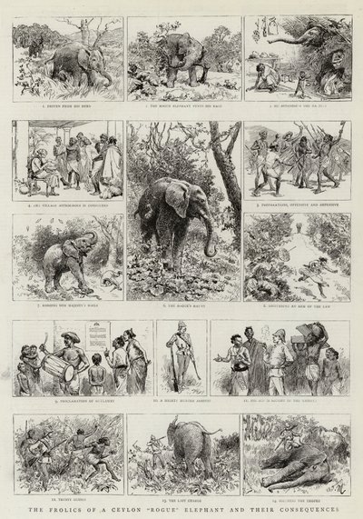 Die Streiche eines Ceylon-Rogue-Elefanten und ihre Folgen von Adrien Emmanuel Marie